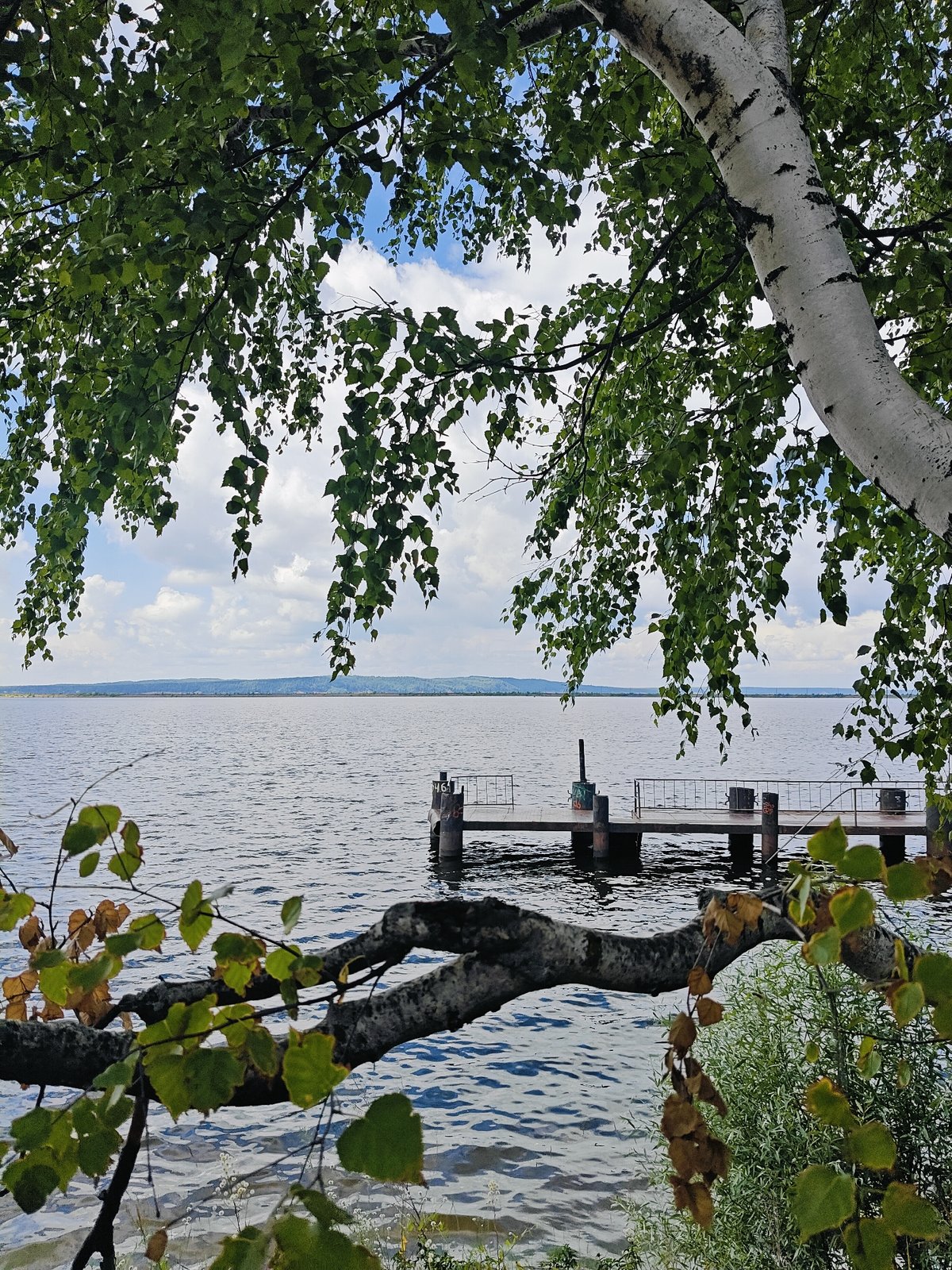 Animals and river views at a Chaikovsky petting zoo