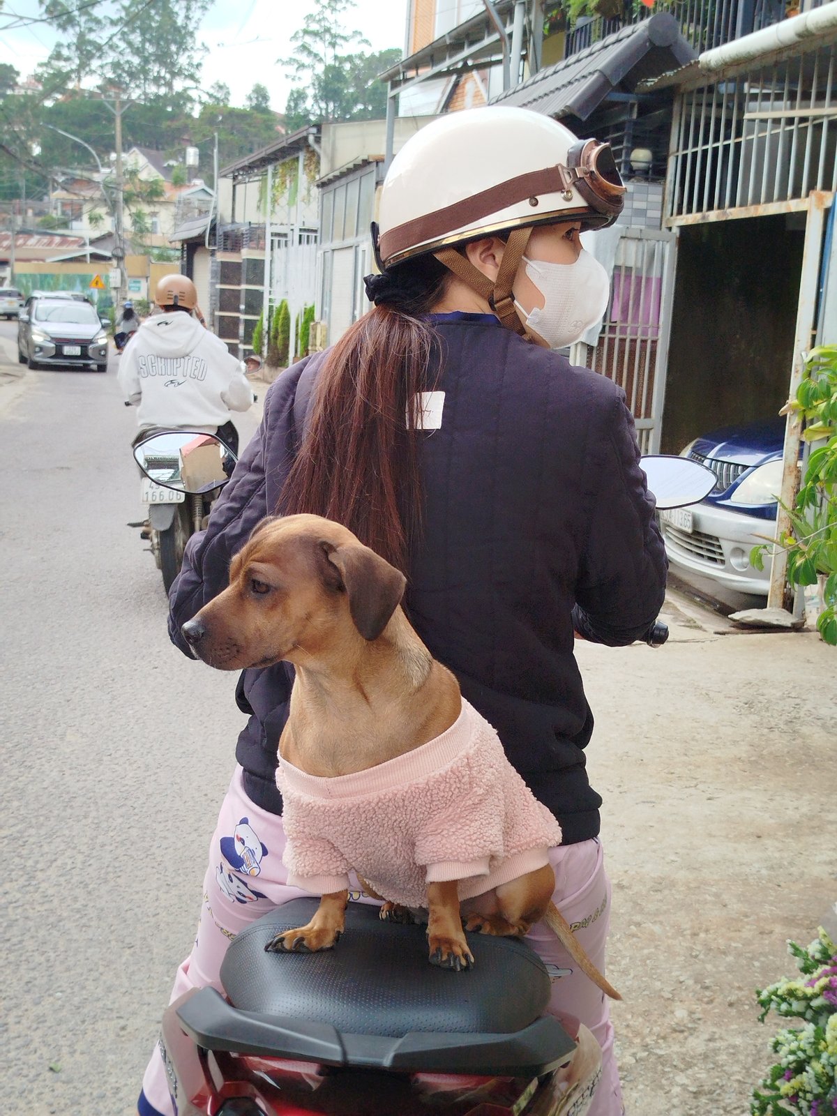 Morning street life documented in Da Lat, Vietnam