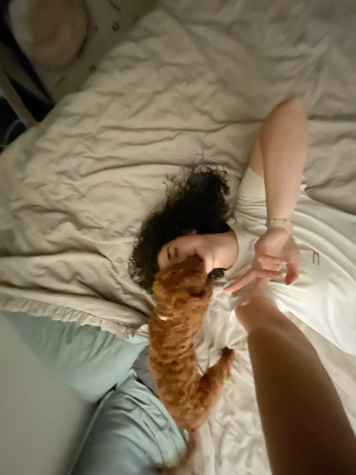 Person, puppy share quiet evening on Sofia bed