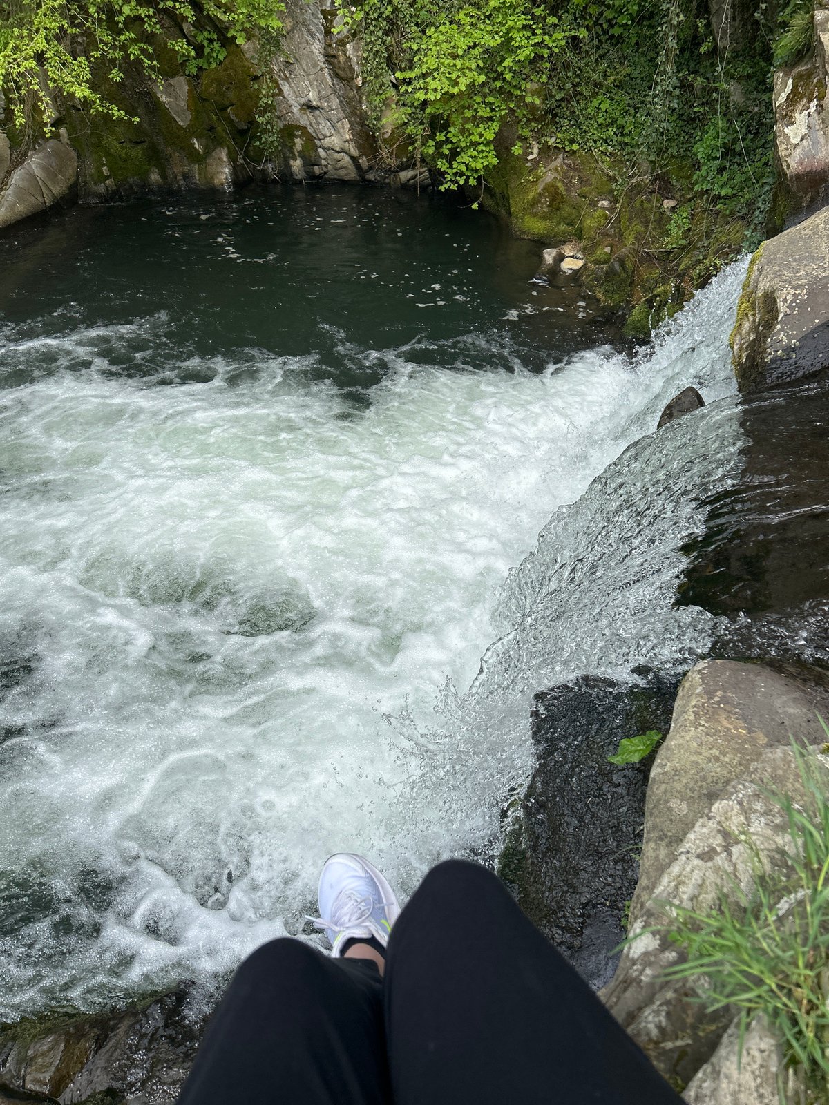 Witness documents waterfall scene with forest and buildings