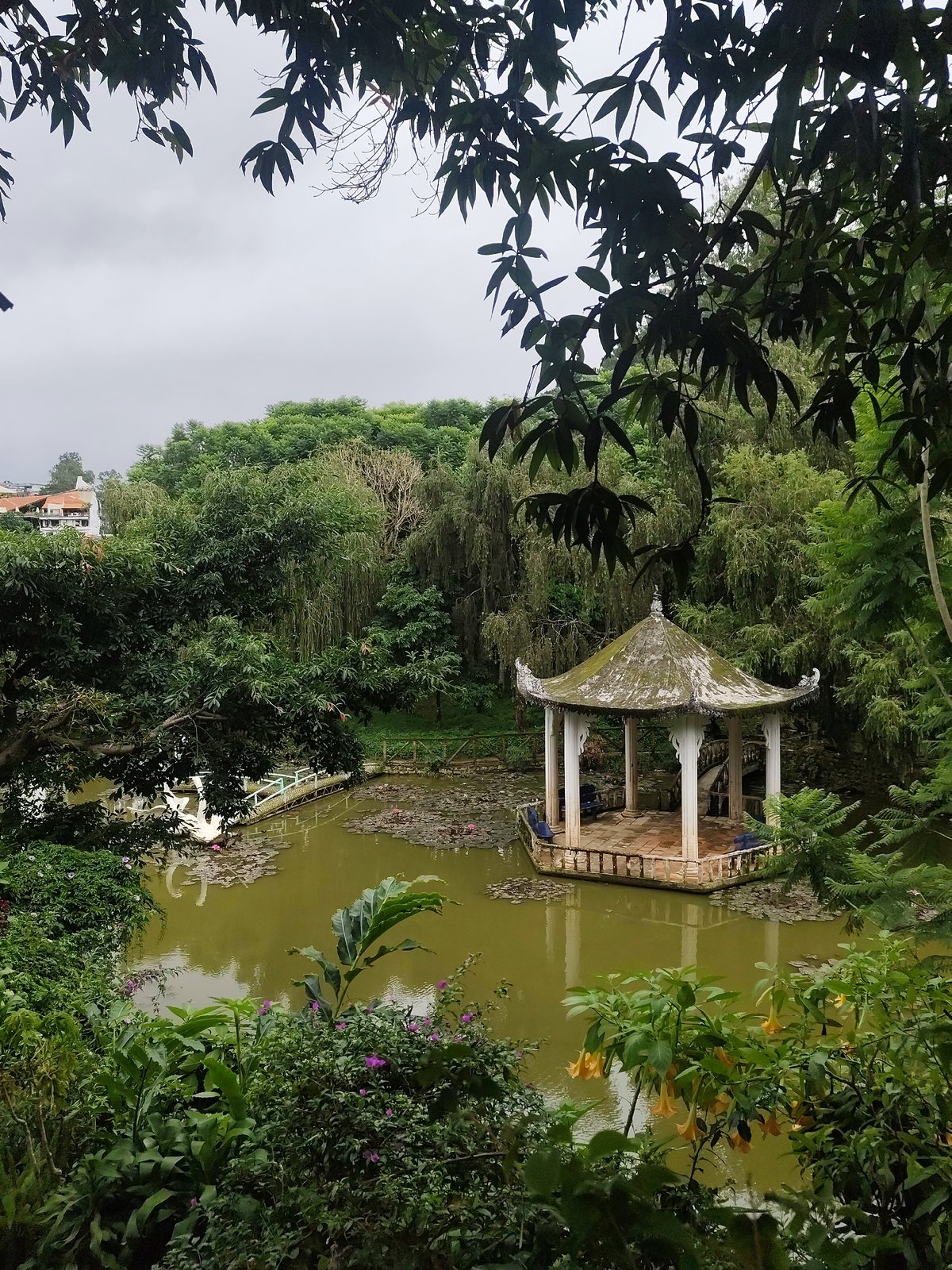 Walking tour captures parks, temples, gardens in Đà Lạt Vietnam