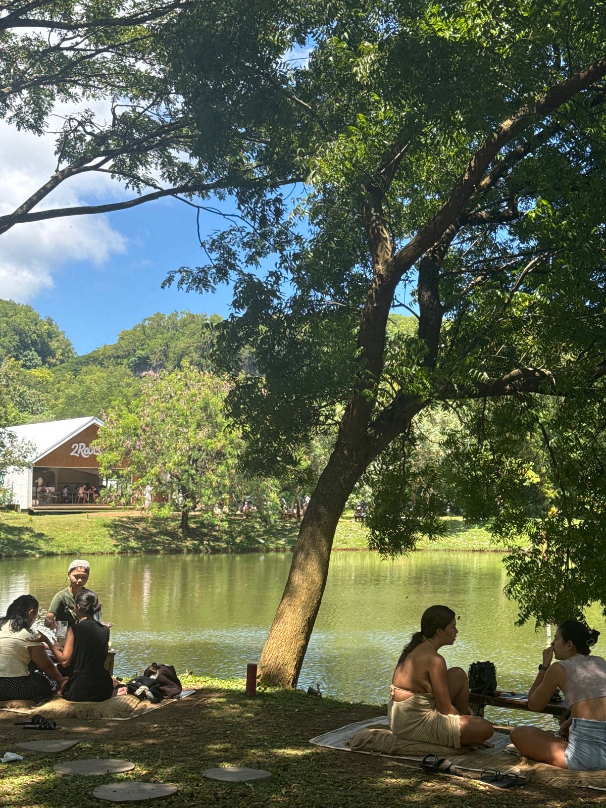 Dawn lakeside gathering draws peaceful moments under spring canopy