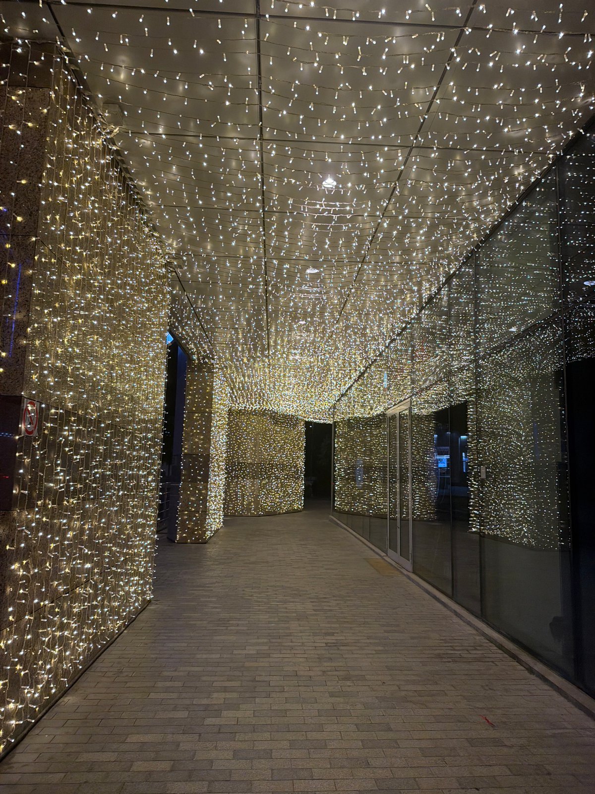 Moscow evening captures decorative lights and floral displays