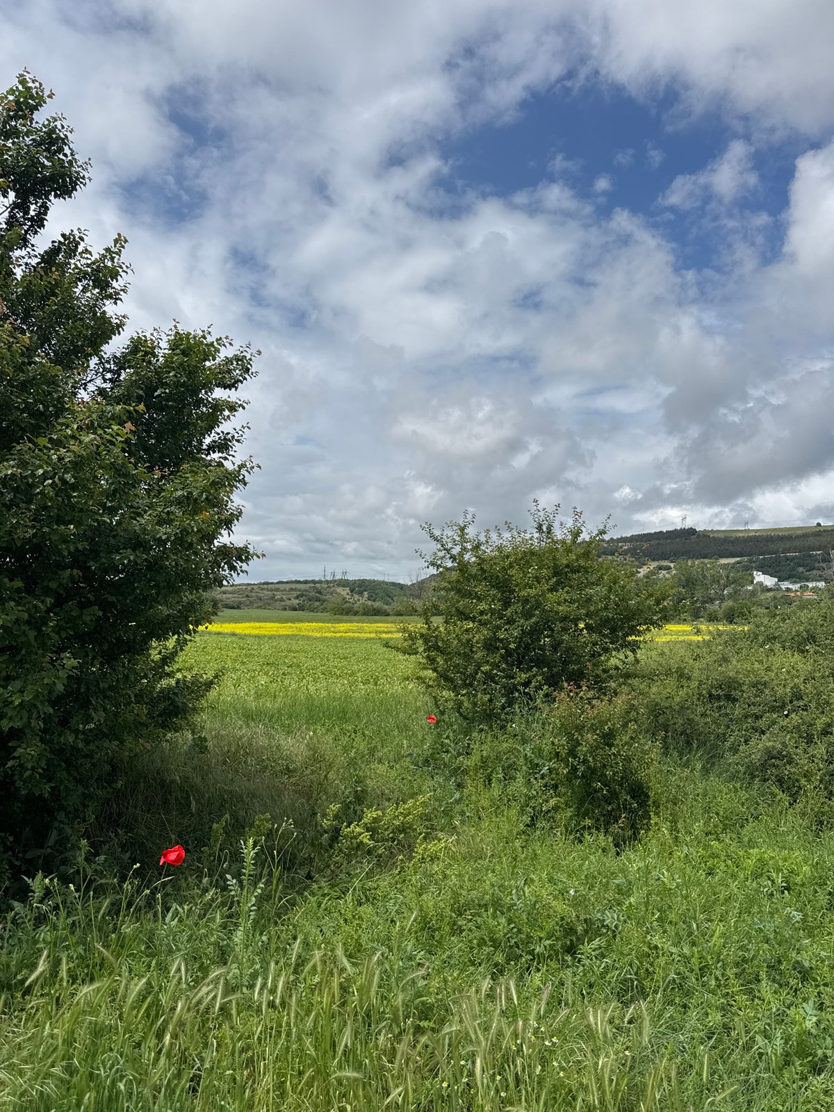 Rural landscape photographed in Dragovishtitsa, Bulgaria