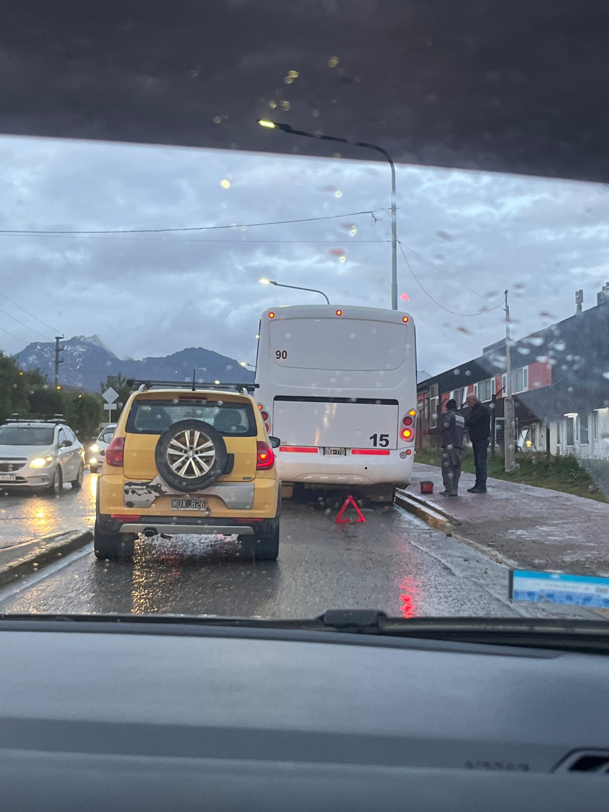 Everyday moments captured in Ushuaia: plants, figurines, parked car