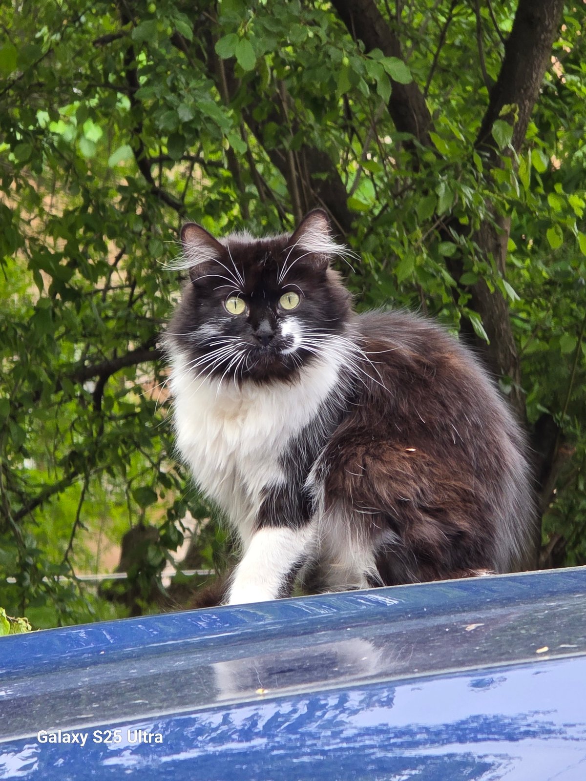 Casual afternoon moments documented across Pernik, Bulgaria