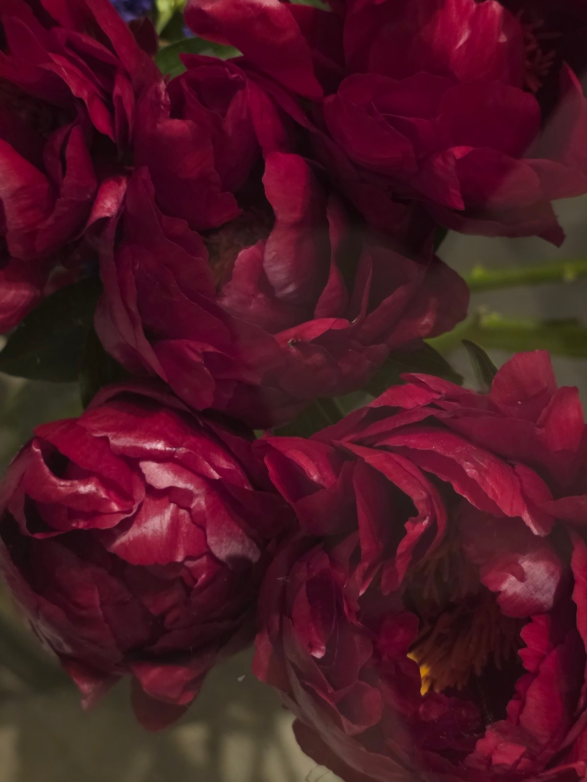 Urban explorer captures diverse scenes from flowers to architecture