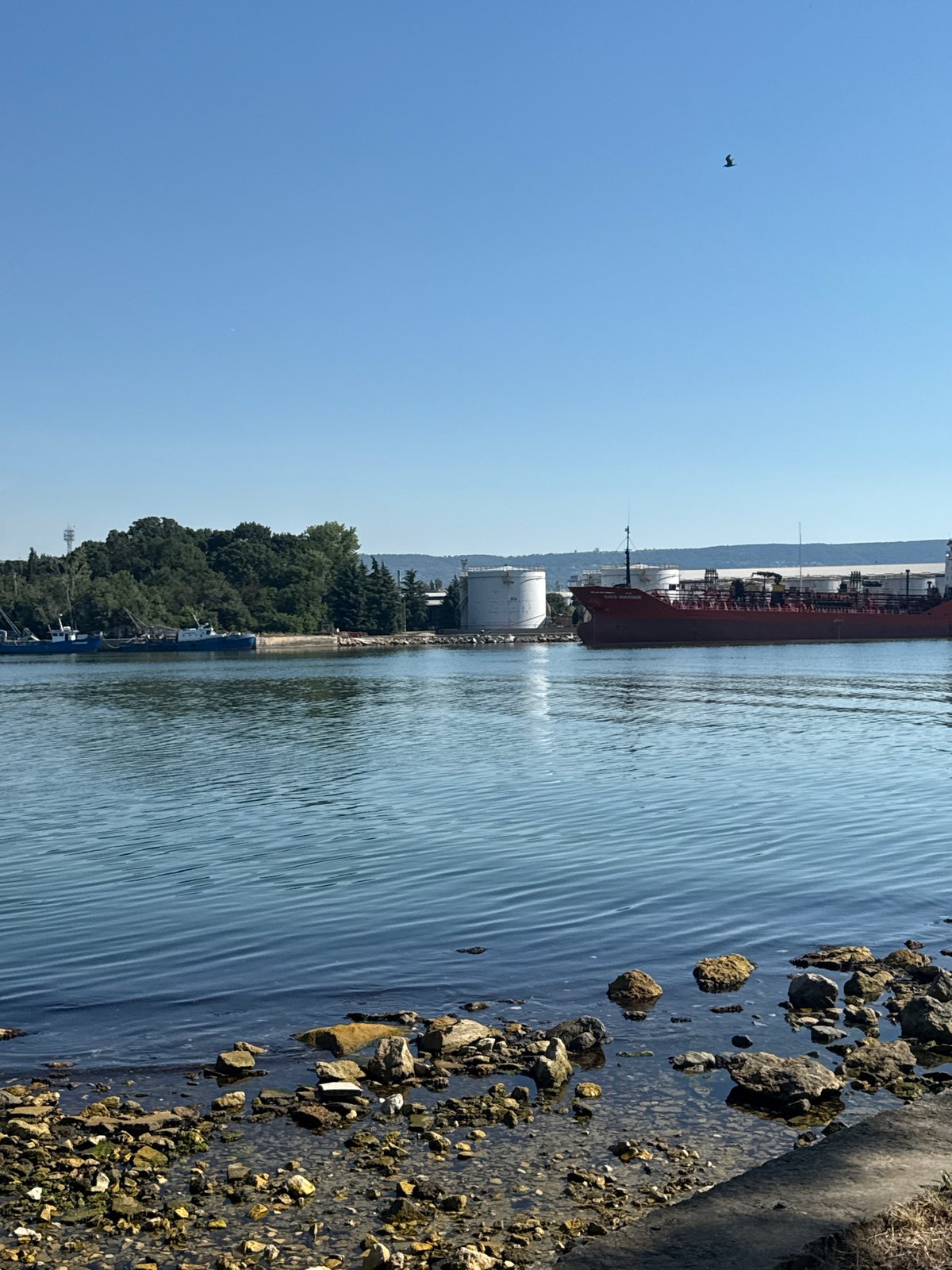 Sunny day at a harbor with a docked red cargo ship