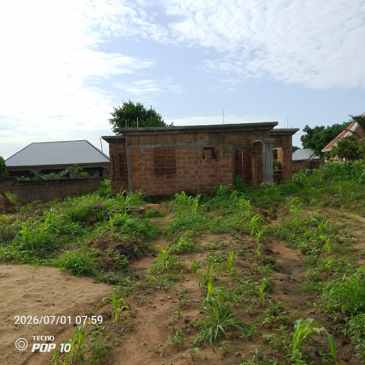 Early morning rural life along the outskirts of Jalingo, Nigeria