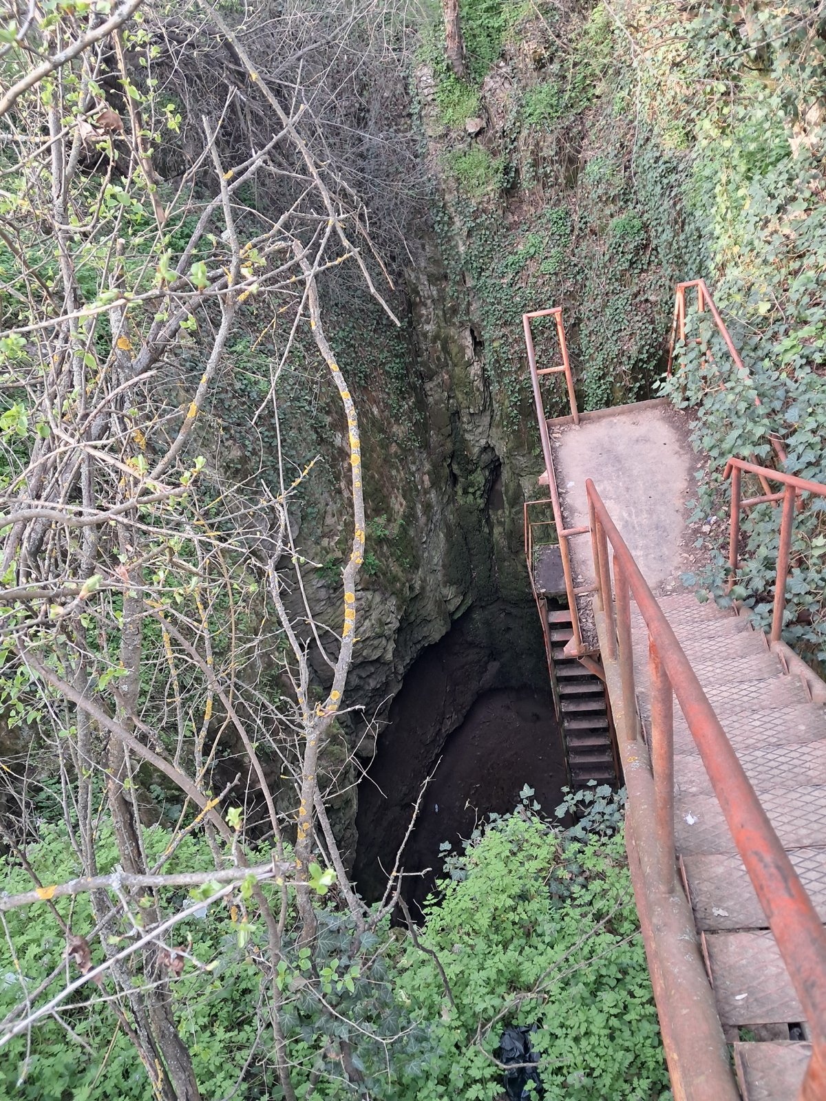 Rusty metal stairs descend into ravine from above