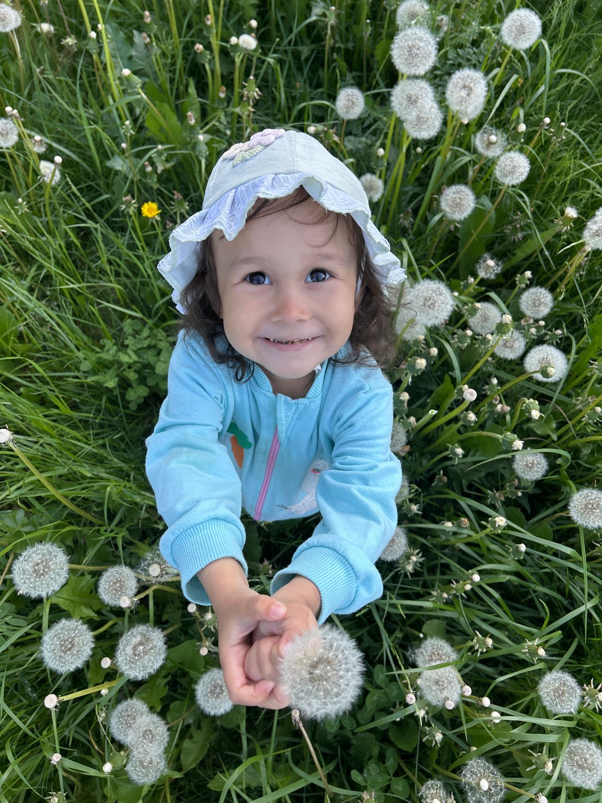 Toddler plays in dandelion field near Uray, Russia