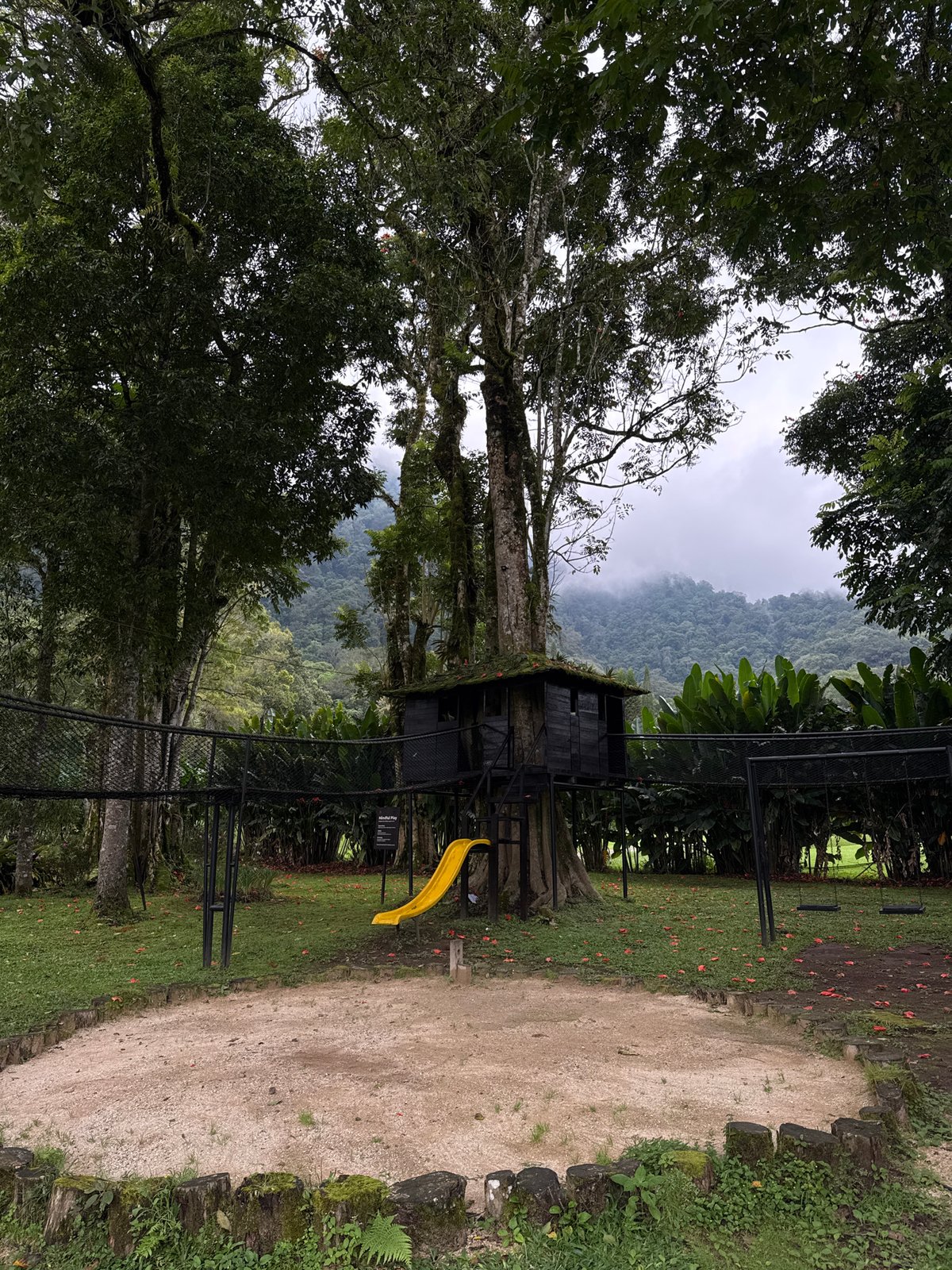 Tourist visits rabbit enclosure, documents scenic Sukasada landscape