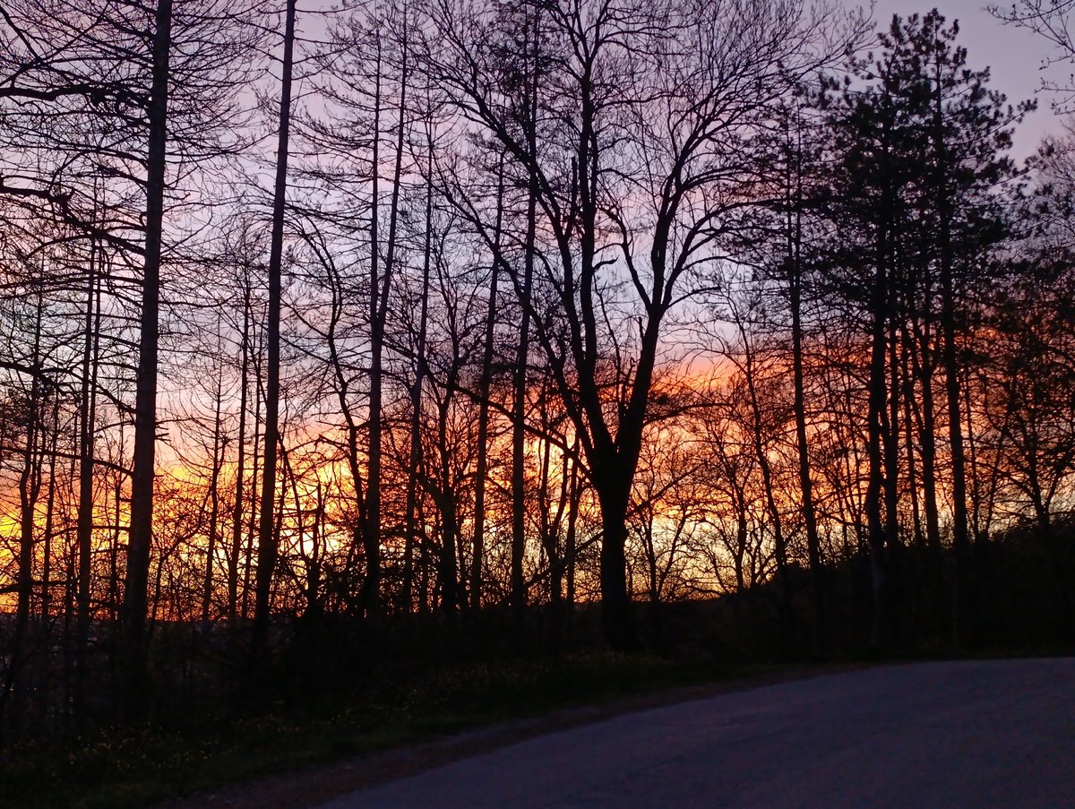 Dramatic sunset with forest silhouette observed in Veliko Tarnovo