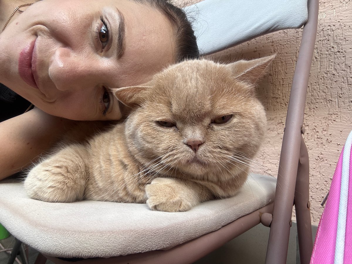 Lazy Sunday with ginger cat and home cooking
