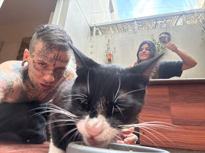 Buenos Aires couple spends quiet evening with pet cat