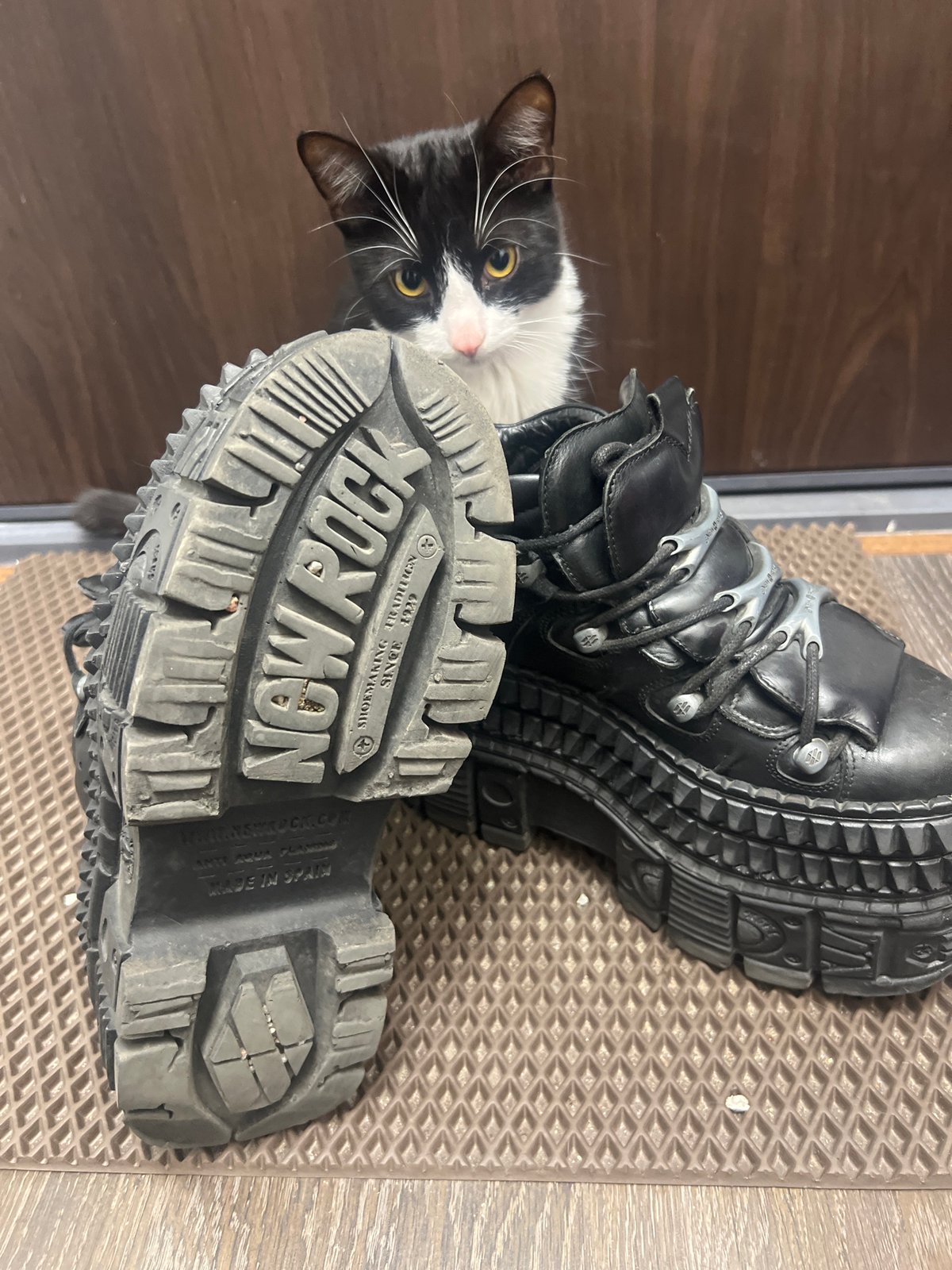 Tuxedo cat observed playing around boots, resting on furniture