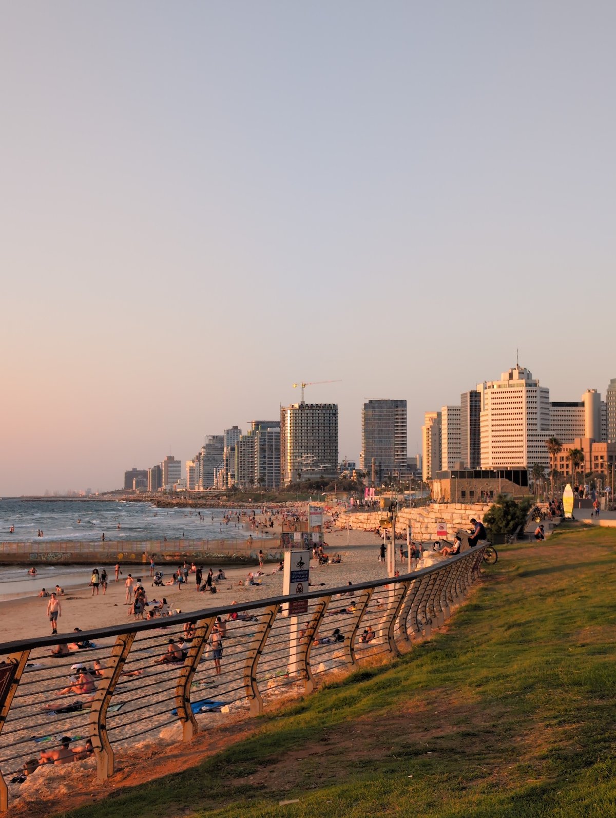 Tel Aviv beach at golden hour, people and dogs in the surf