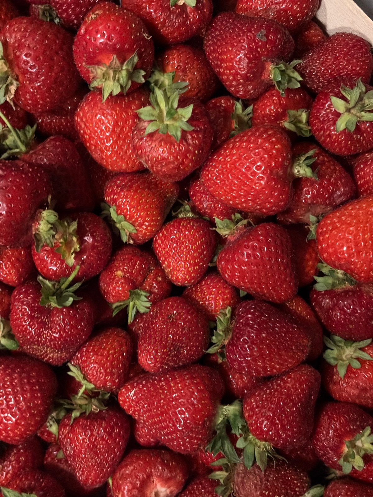 Belgrade streets and a strawberry pile, early morning