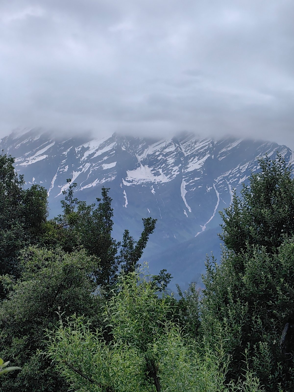 Cloudy afternoon in Vashisht: mountain views, village dogs, hot air balloon