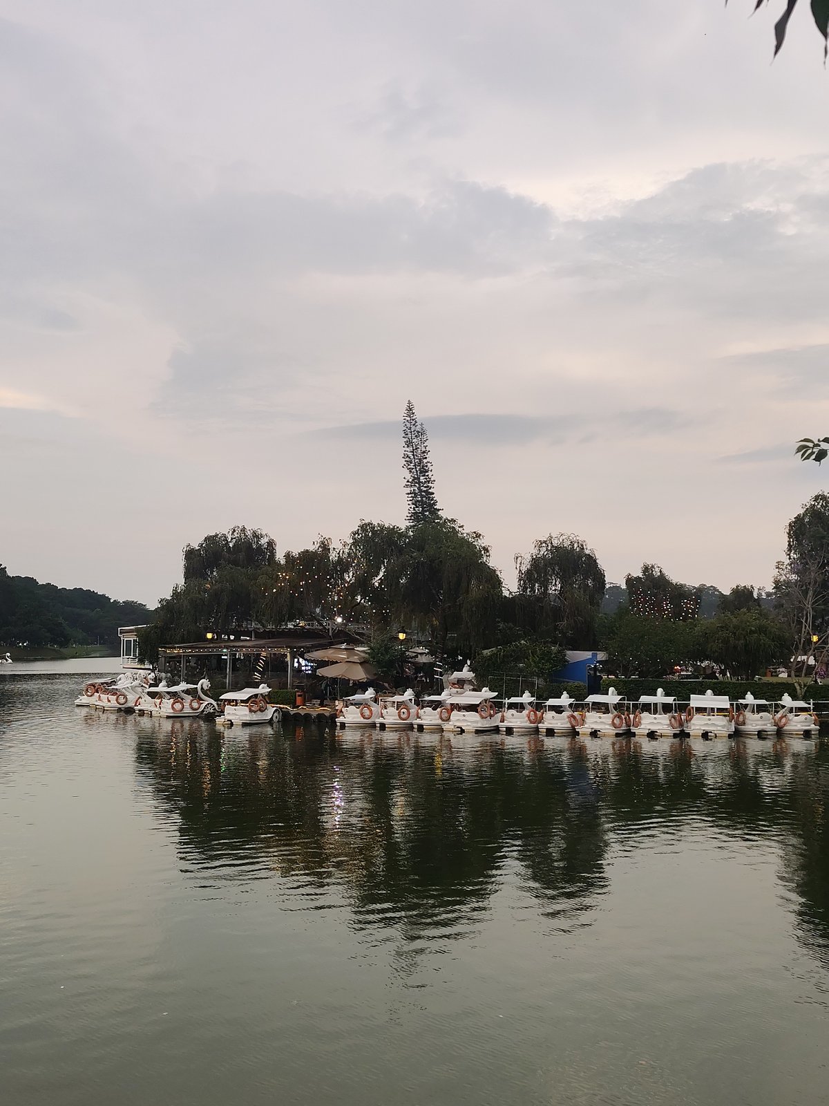 Afternoon life unfolds around Da Lat's Xuan Huong Lake