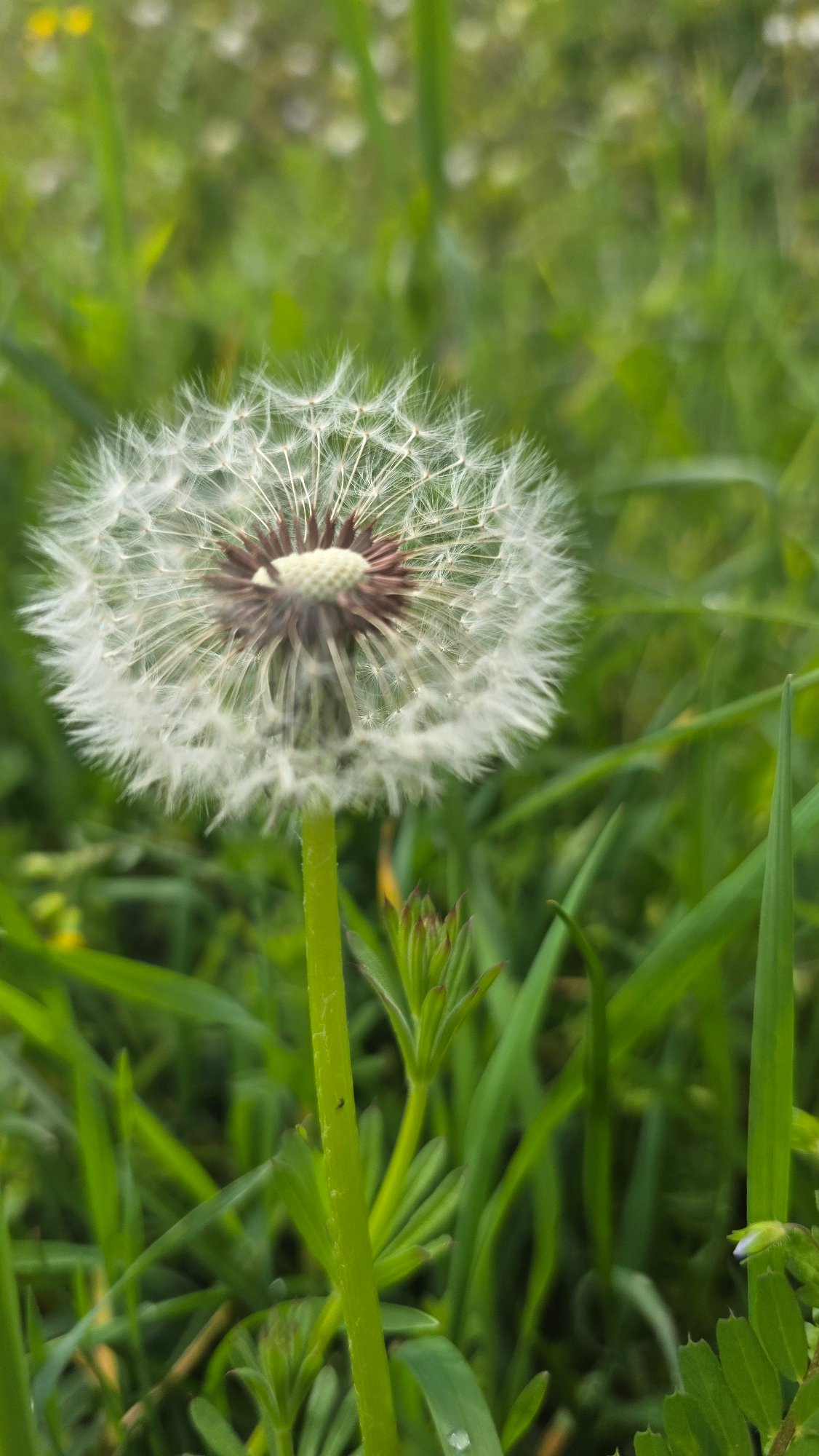 Spring nature moments captured in Blagoevgrad park setting