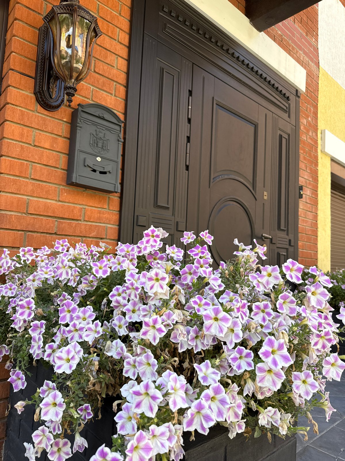 A creative, plant-filled day at home in Khimki