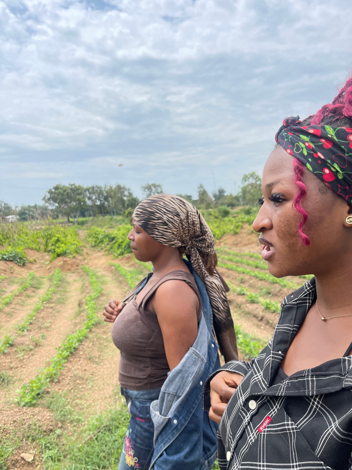 Daily life along a bridge and farmland in Rafin Par, Nigeria