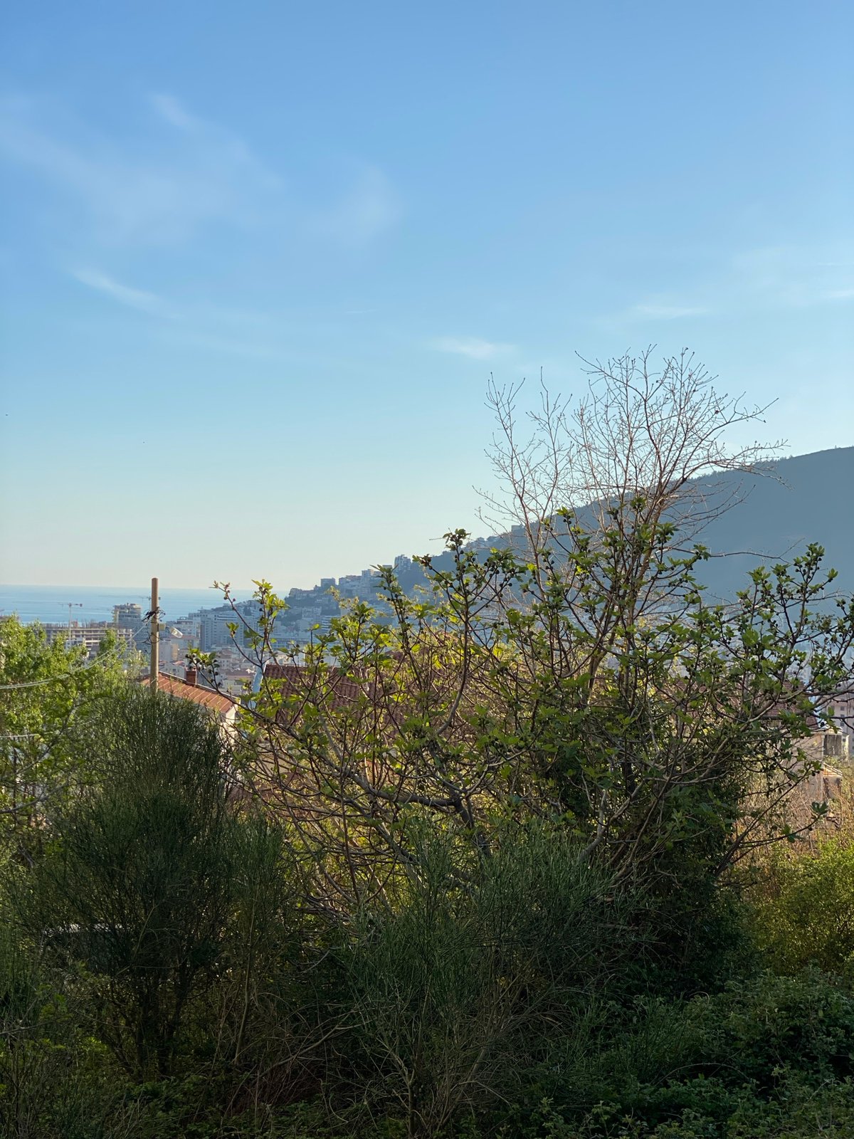 Spring afternoon observations captured across coastal Budva, Montenegro