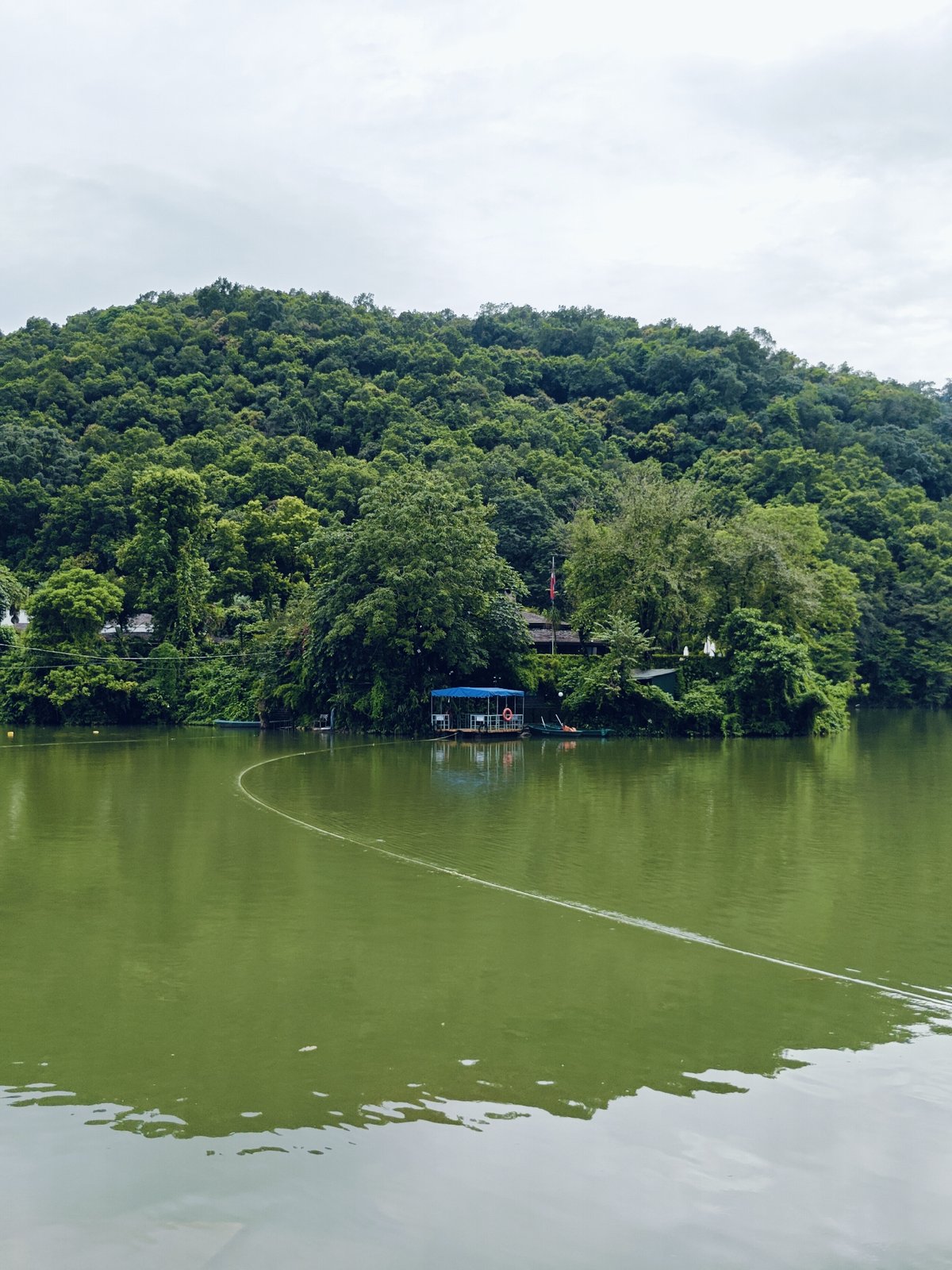 Phewa Lake in motion: boats, paddlers, and mountain views