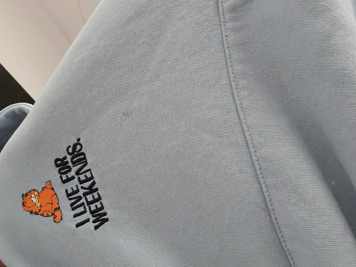 Garfield sweatshirt and sleeping dog documented in Belitsa, Bulgaria
