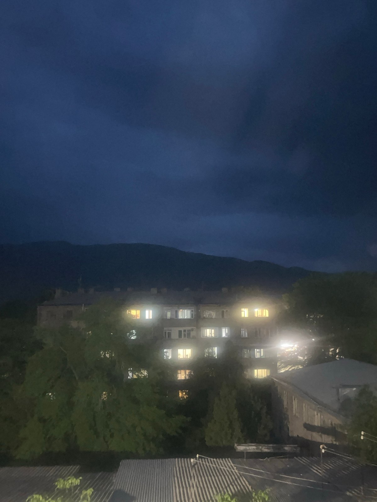 Nighttime apartment building photographed through tree foliage