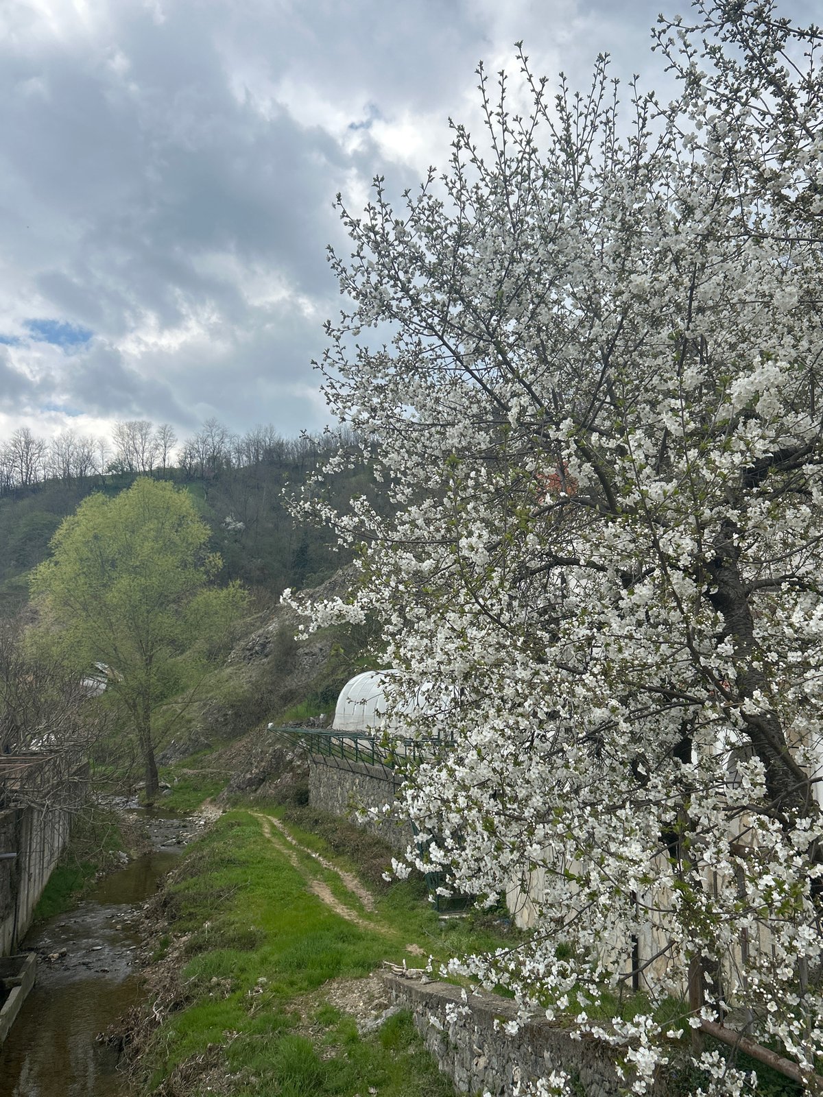 Quiet Sunday morning captured in Zlatograd, Bulgaria springtime scenes