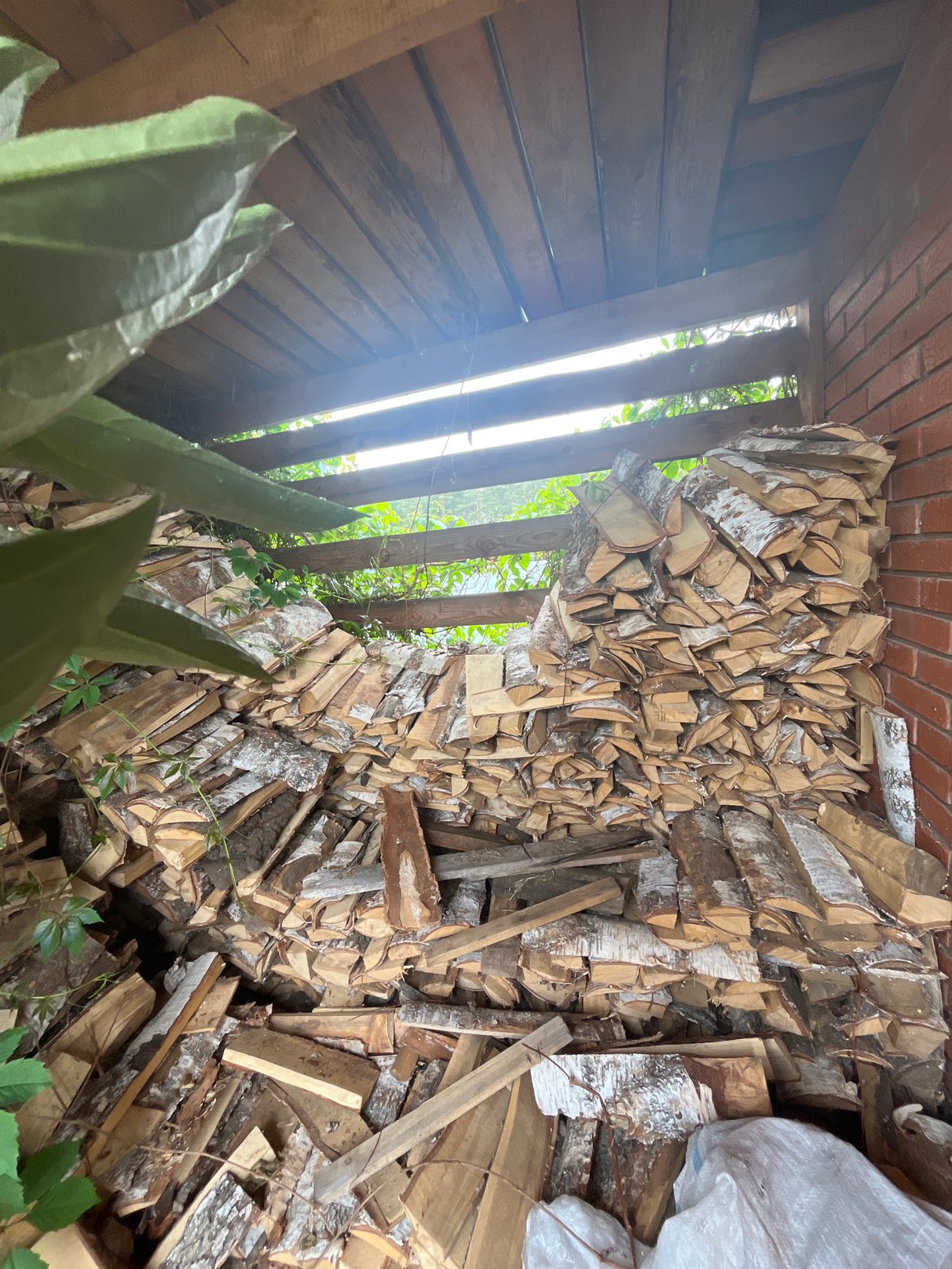 Rural life documented in Garevaya: firewood, flowers, garden scenes