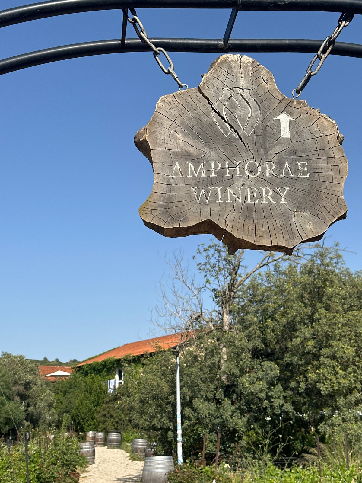 Wine tasting celebration held at Israeli vineyard