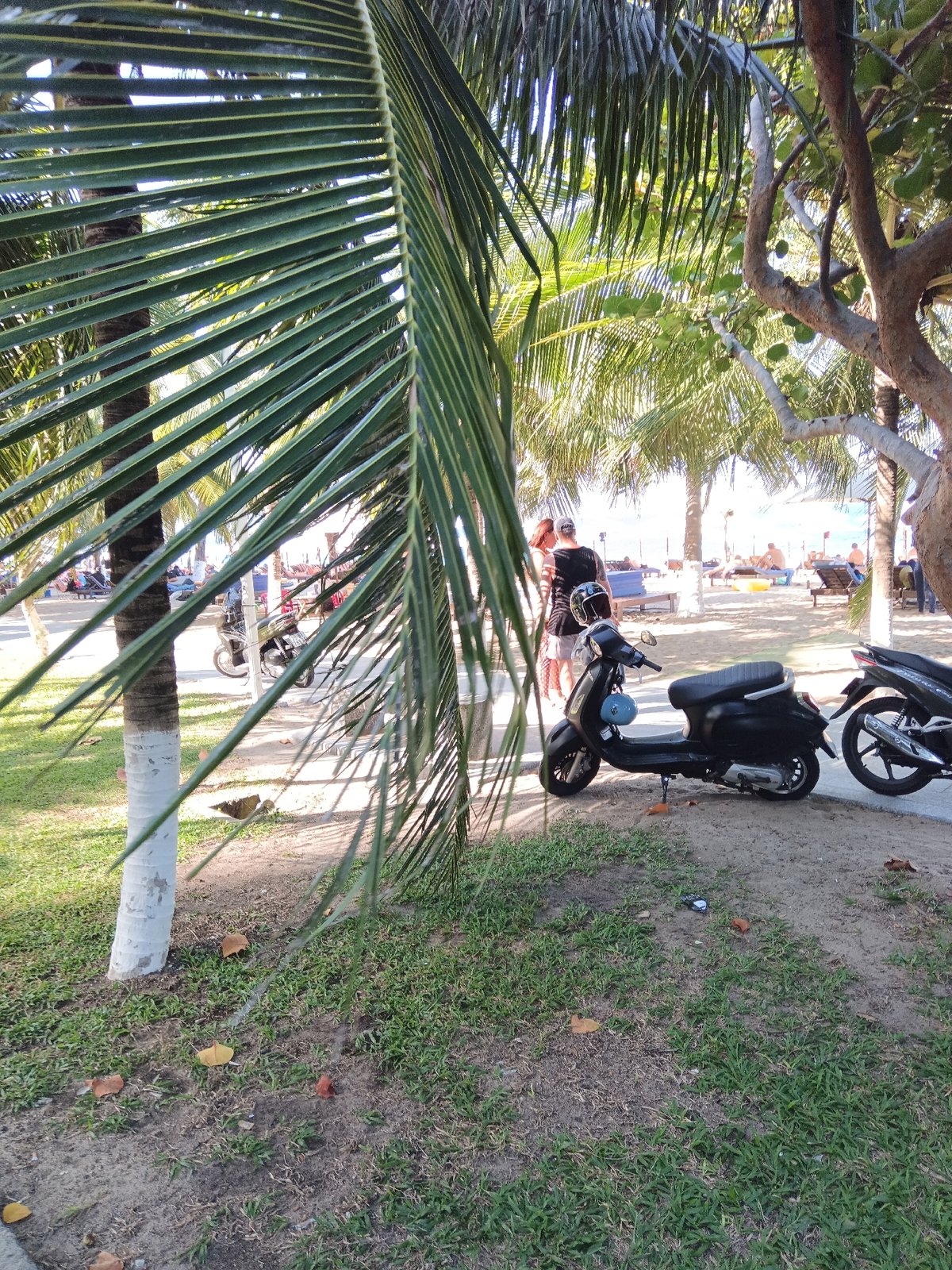 Nha Trang beachfront promenade, busy summer morning.