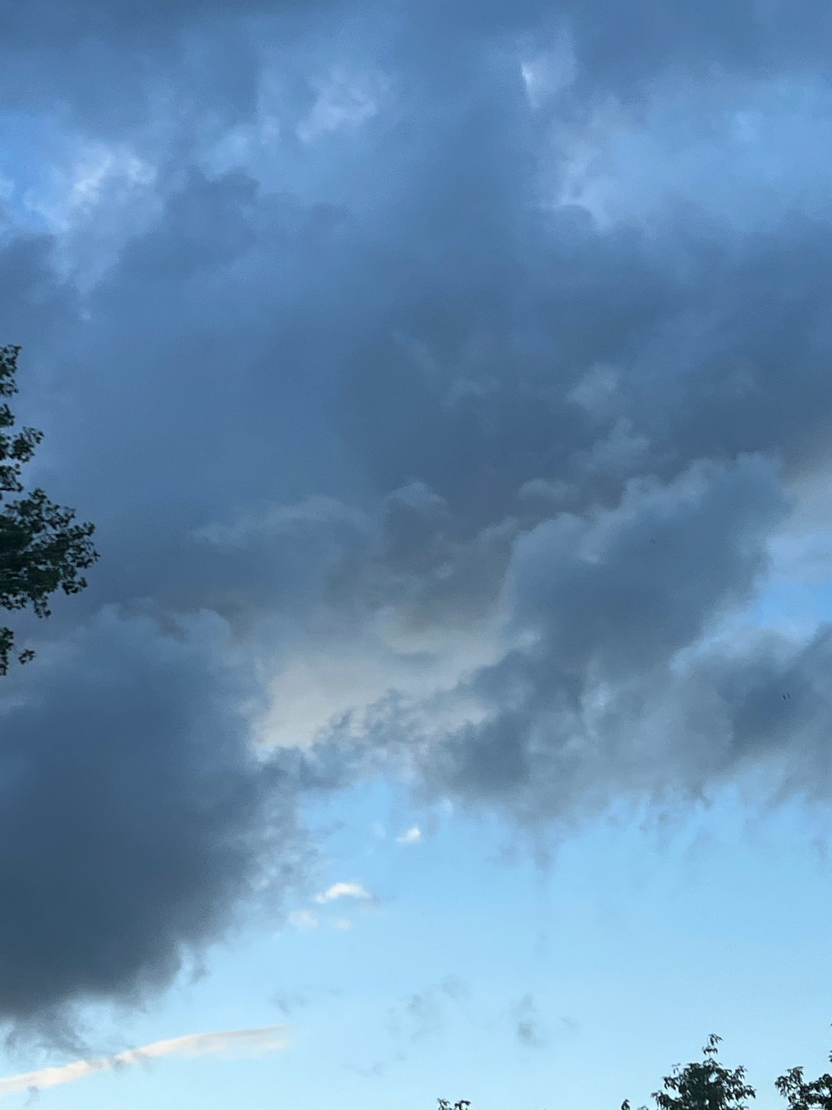 Stormy summer skies over Warsaw's green urban canopy