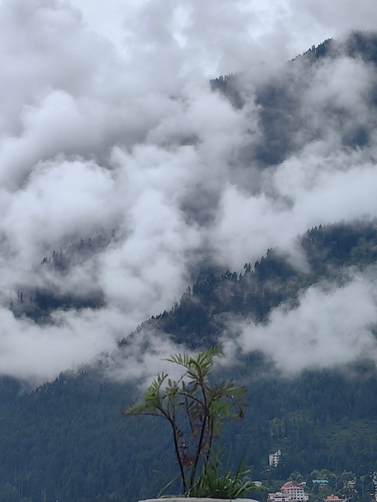 Misty mountain village of Vashisht wrapped in morning cloud cover