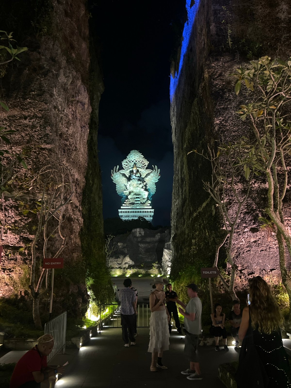 Nighttime outdoor festival gathering captured by multiple witnesses