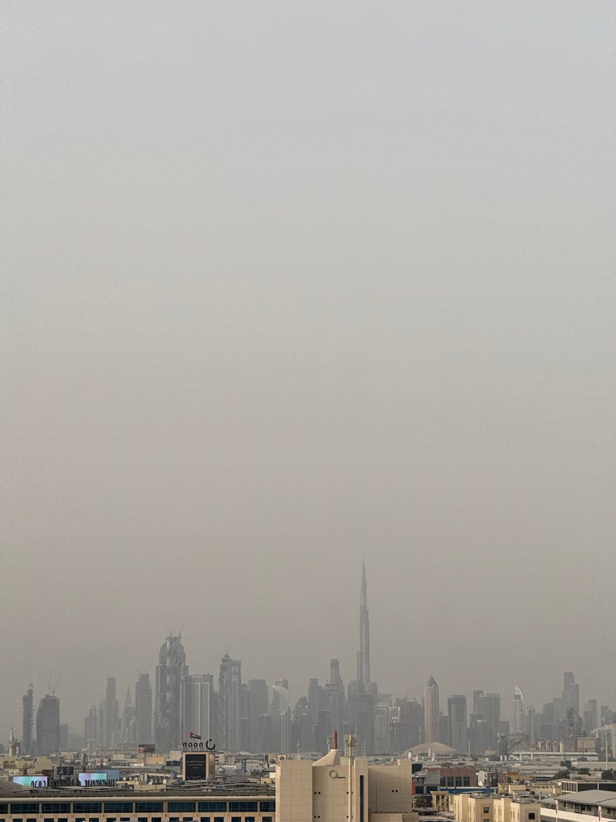 Dubai witness captures hazy skyline and ducklings on grey afternoon