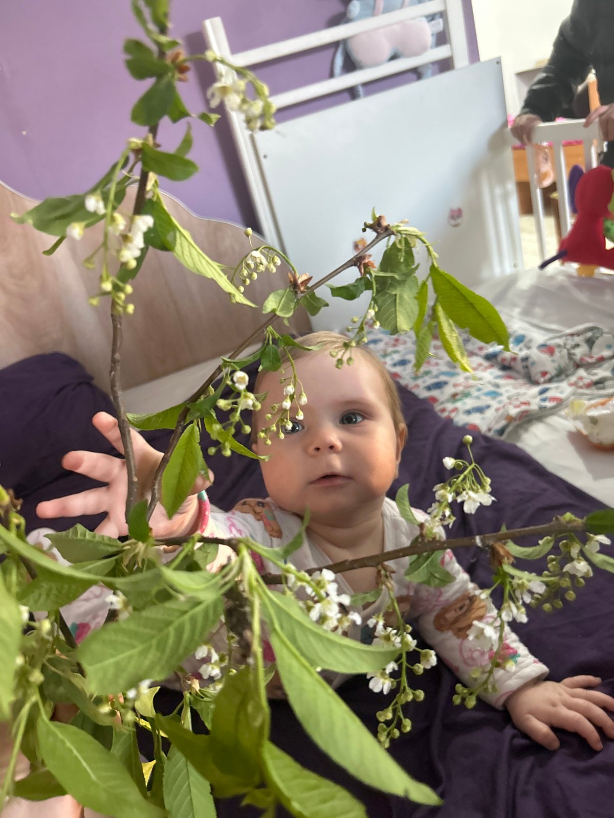 Family documents afternoon with baby, dogs, chickens in Rusalevka