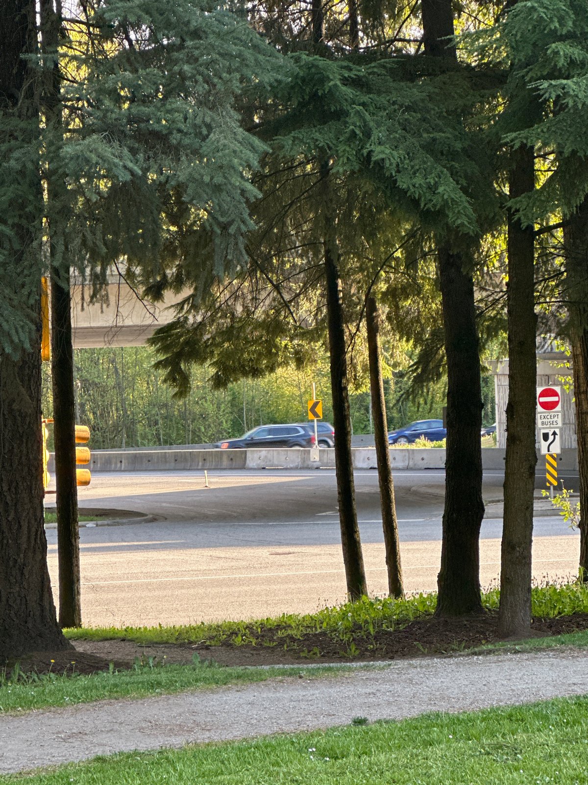 Late-night park walk documented in Burnaby, Canada