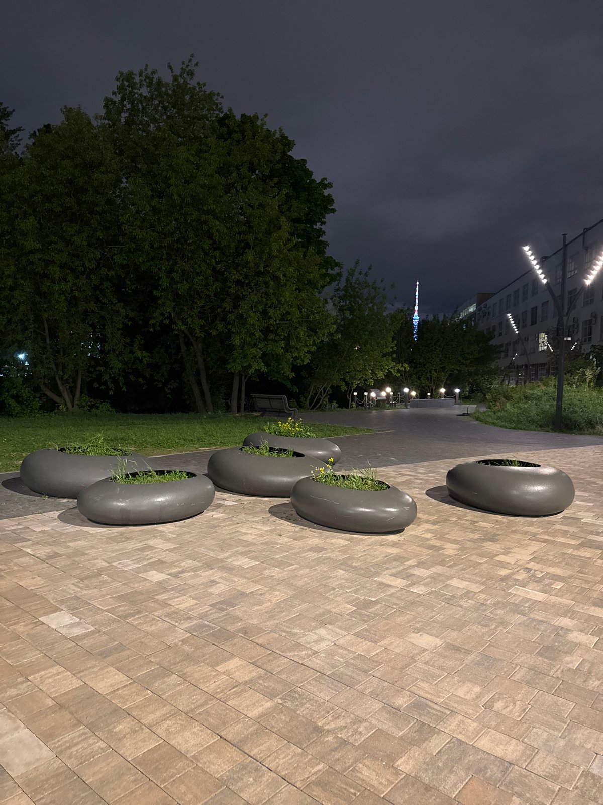 Nighttime scenes documented across Saint Petersburg parks and streets