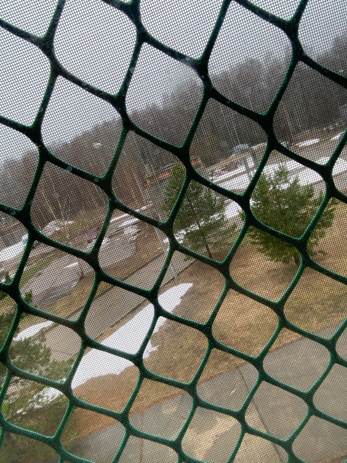 Morning moments documented in Markovskiy, Russia