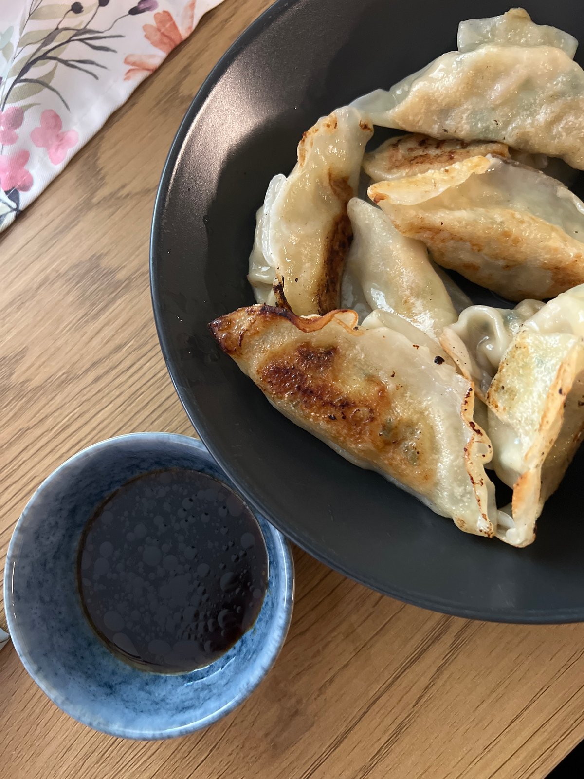 Pan-fried dumplings served with sauce documented in Sofia
