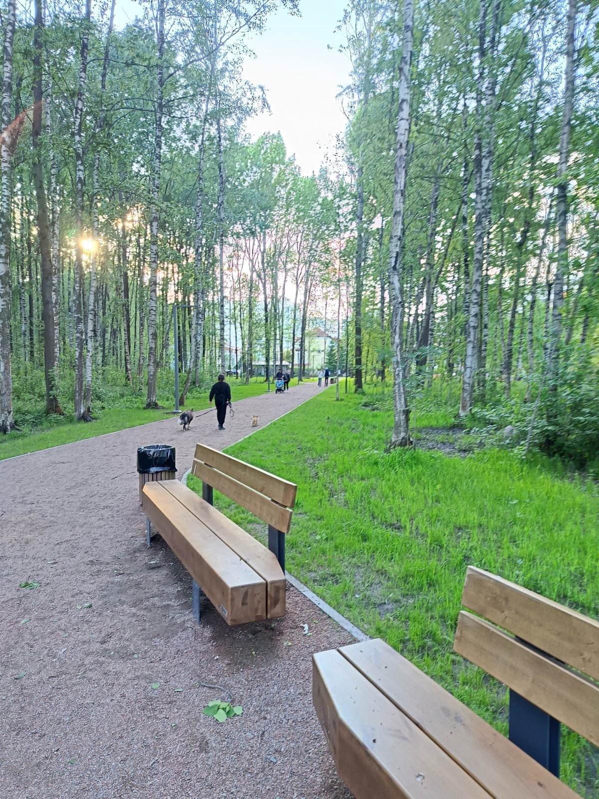 Afternoon park life captured in Saint Petersburg