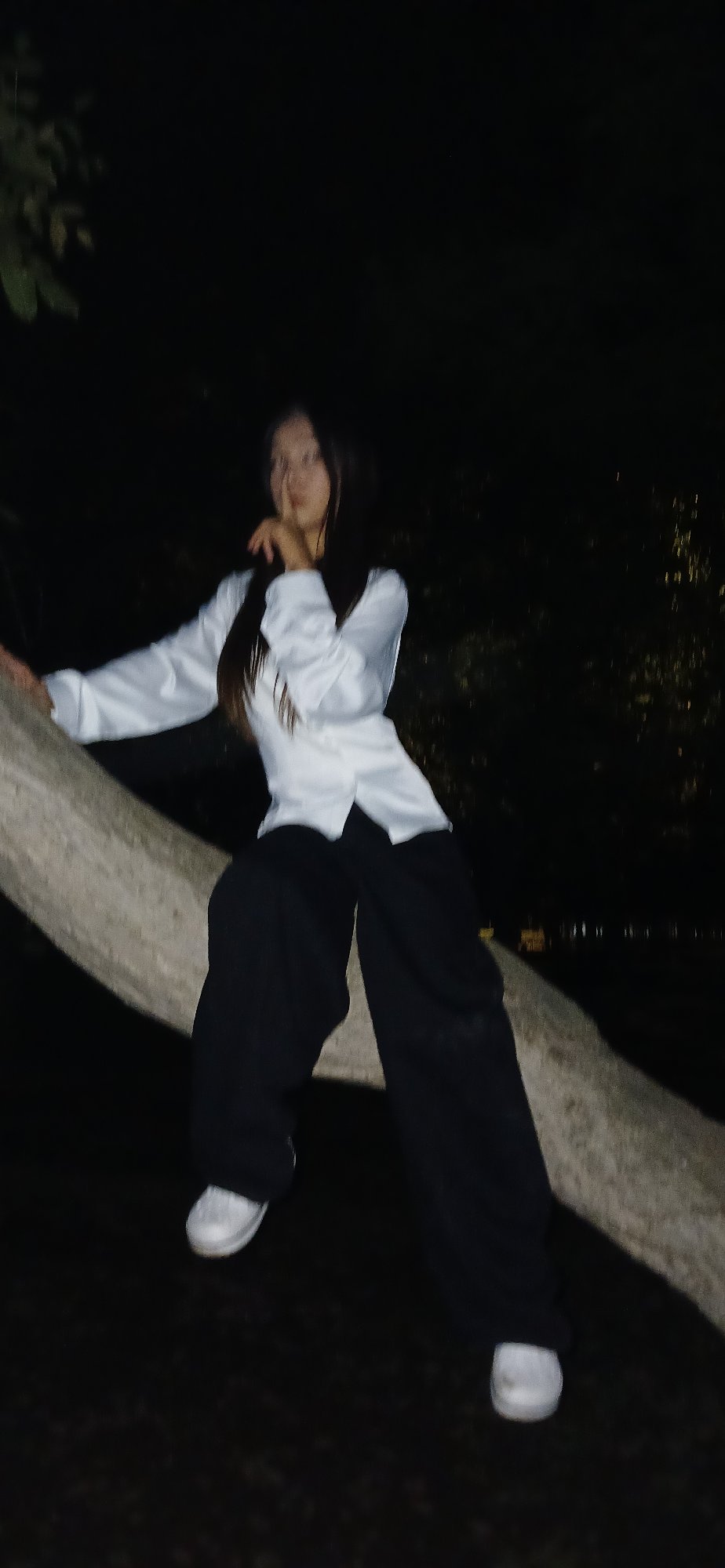 Late-night hangout in a Bishkek park, climbing and posing.