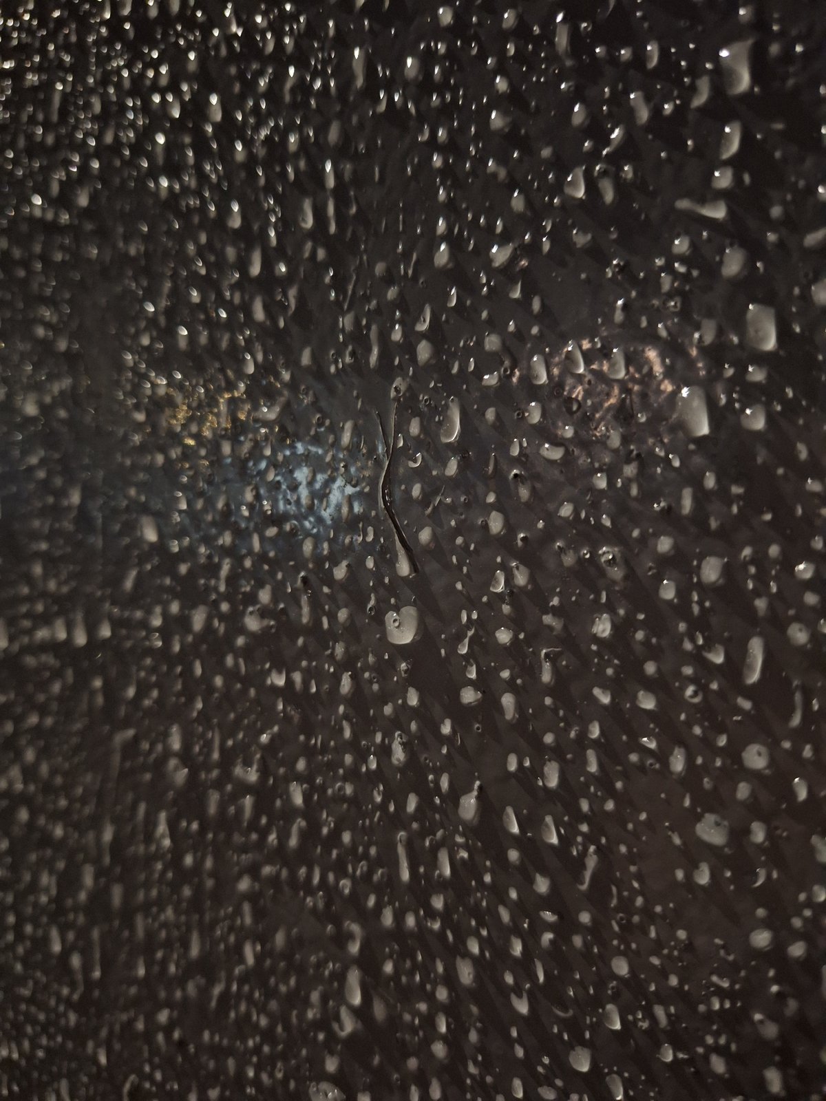 Nighttime observations capture water droplets, trees, illuminated signage