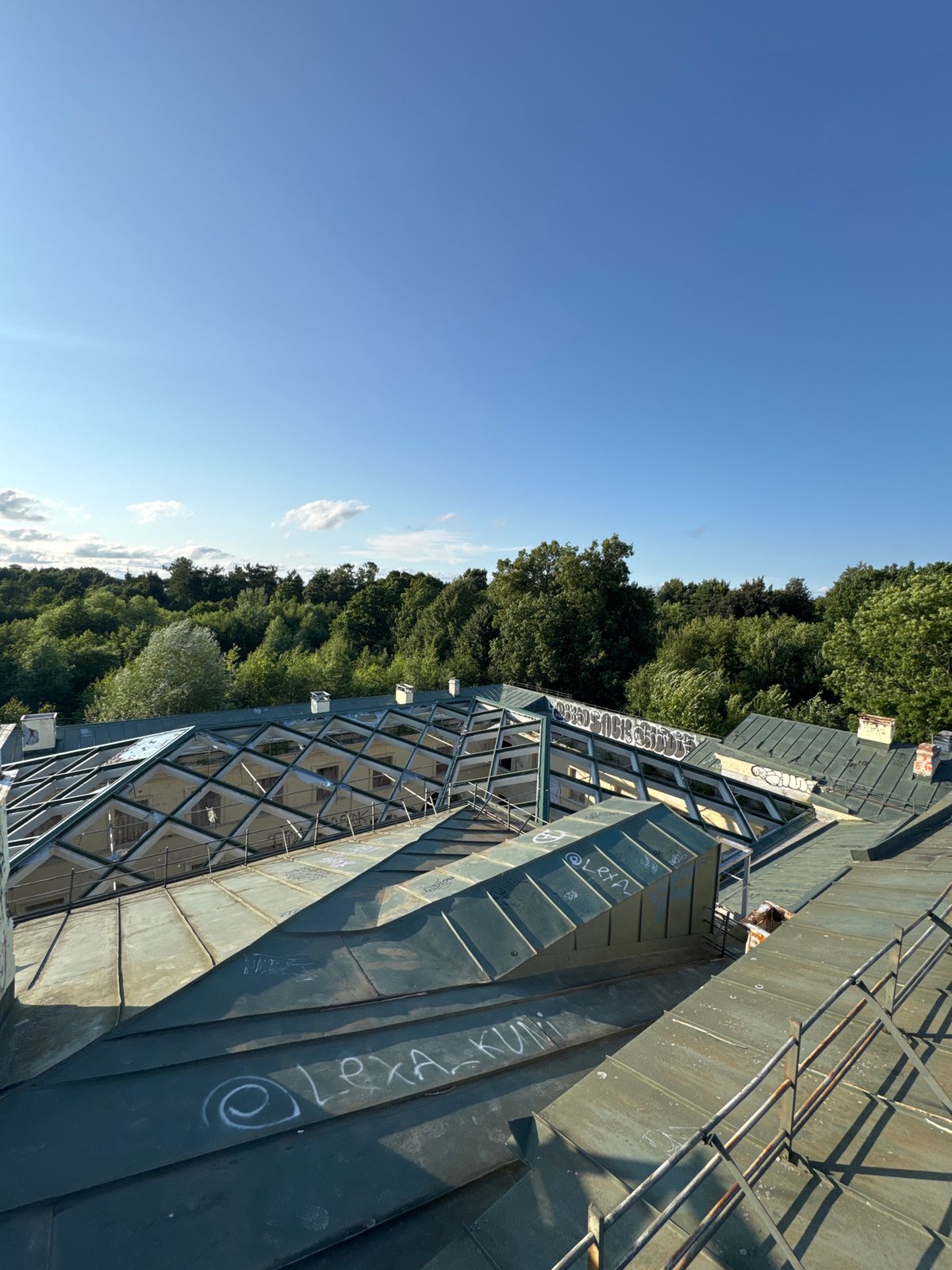 Rooftop views over Peterhof's classical architecture and green canopy