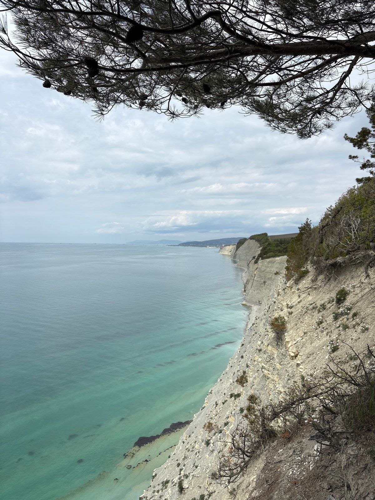 Morning coastal views and small fire documented in Gelendzhik