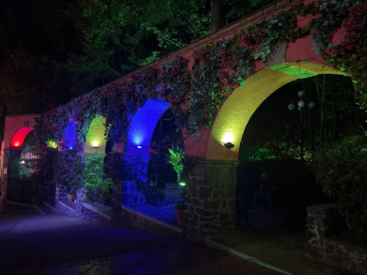 Late-night scenes captured in Mexico City parks and parking areas